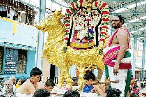 திருநள்ளாறில் தீர்த்தவாரியுடன் பிரம்மோத்ஸவம் நிறைவு