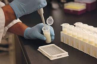 ரசாயன உணவுகளின் பாதிப்பு: வெல்வது எப்படி?