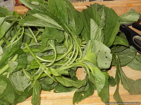 இன்றைய மருத்துவ சிந்தனை முளைக்கீரை