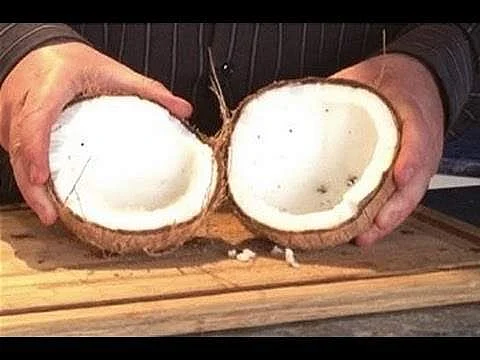 தேங்காயை எப்படி சரிபாதியாக உடைப்பது?