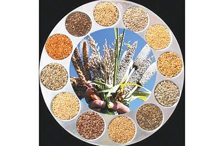 இதயத்தைப் பாதுகாக்கும் சிறுதானிய உணவுகள்