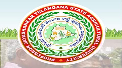 விவசாய பல்கலைக்கழகத்தில் வேலை