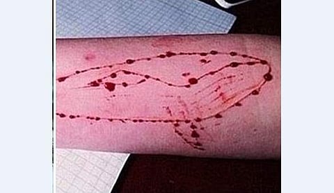 பதற வைக்கும் ப்ளூ வேல் தருணங்கள்: மீட்கப்பட்ட காரைக்கால் இளைஞரின் பயங்கர அனுபவங்கள்!  