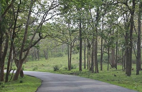 குன்னூா் பக்கா சூரன் மலை காட்சி முனைக்குச் செல்ல சுற்றுலா பயணிகளுக்குத் தடை