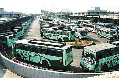 buses