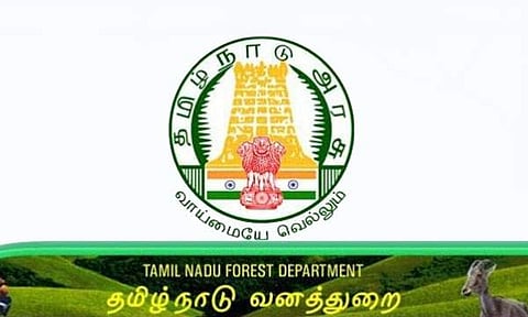 தமிழக வனத்துறையில் வேலை வேண்டுமா? உடனே விண்ணப்பிக்கவும்!