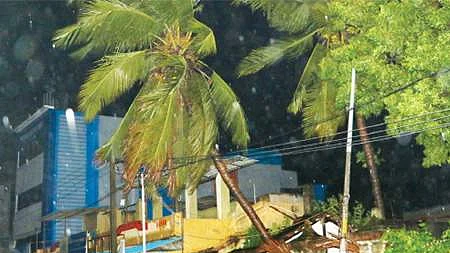 12 மாவட்டங்களில்... நள்ளிரவு 1 மணி வரை மழைக்கு வாய்ப்பு!