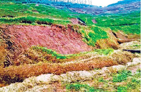 பூண்டி மற்றும் பூம்பாறை பகுதியில் சேதமடைந்துள்ள மண் திட்டுகள்.