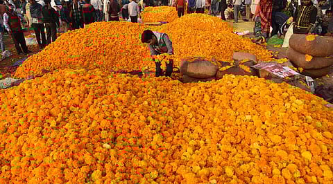 பூக்களின் விலை சரிவு