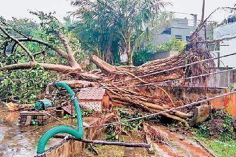 பெய்ட்டி புயல் பாதிப்பு: விஜயவாடாவில் மேலும் 4 பேர் சாவு