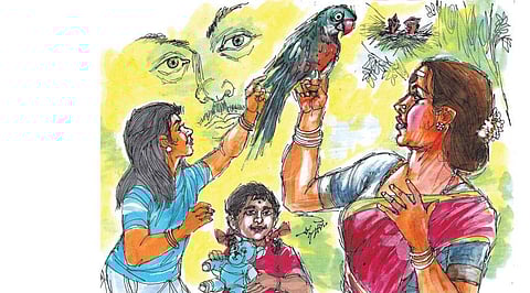 சதைச் சுருணைகள்