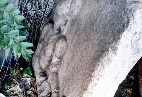 வெள்ளக்கோவிலில் சேதமடைந்து கிடக்கும் வரலாற்றுச் சிறப்புமிக்க சிற்பம்!