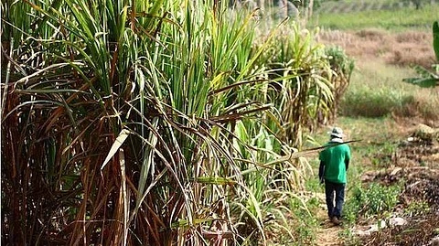 எங்கள் சமூகத்திலிருந்து இனி ஒருவரும் இந்தத் தொழிலில் ஈடுபடக் கூடாது!