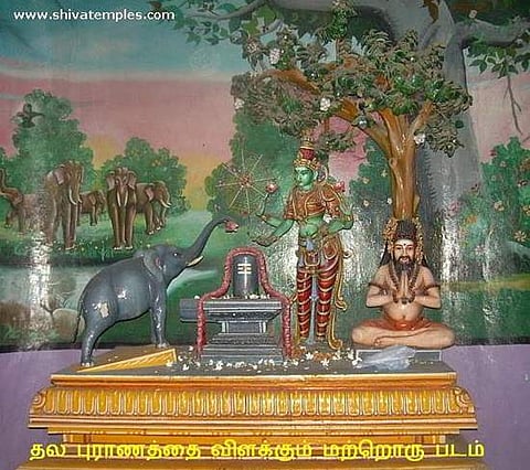 அனைத்து தோஷங்களும் நீங்க வழிபட வேண்டிய ஜம்புகேஸ்வரர் கோவில், திருவானைக்கா