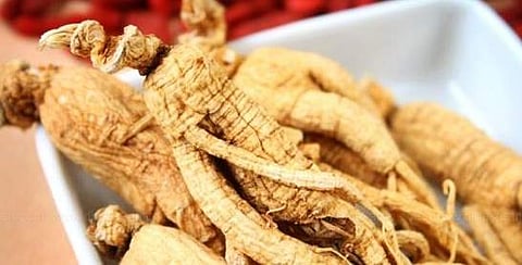 இன்றைய மருத்துவ சிந்தனை: அமுக்கரா கிழங்கு