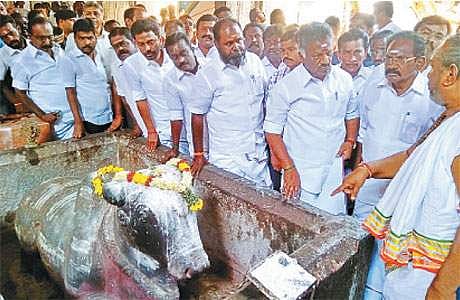 மதுரை அருள்மிகு மீனாட்சிசுந்தரேசுவரர் திருக்கோயிலில் தீ விபத்துக்கு உள்ளான வீரவசந்தராயர் மண்டபத்தில் பாதிப்பின்றி உள்ள நந்தி சிலையை பார்வையிட்ட துணைமுதல்வர் ஓ.பன்னிர்செல்வம்.