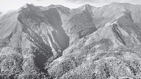 எழில்மிகு தோற்றத்துடன் காணப்படும் போடி மேற்கு தொடர்ச்சி வனப்பகுதி.