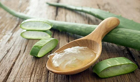 கற்றாழை ஜெல் மற்றும் ஜூஸின் நன்மைகள்...