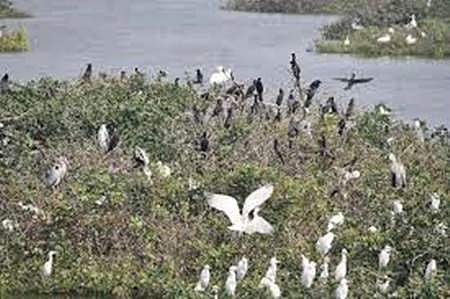 உலக வலசை போதல் தினம் - ஜோதிடம் கூறும் தெரியாத உண்மைகள்!