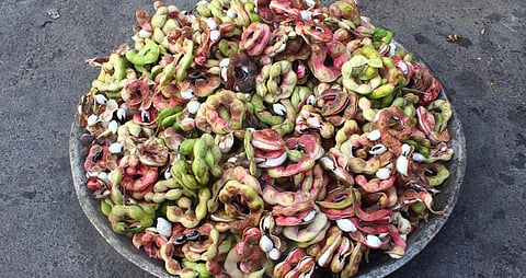 கொடுக்காய்ப்புளி