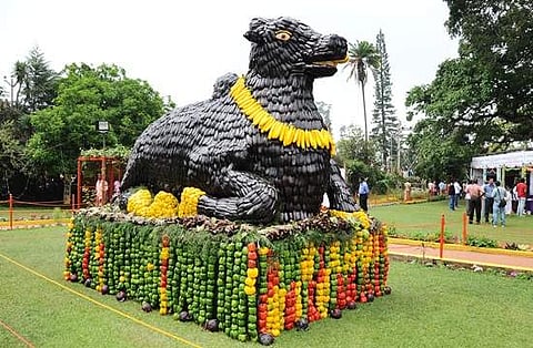 கோத்தகிரியில் 10-வது காய்கறி கண்காட்சி இன்று தொடங்கியது 