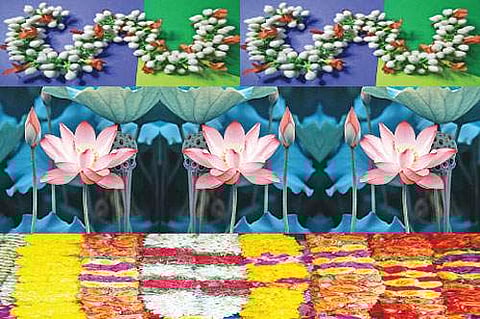 பூக்களோடு பேசு!