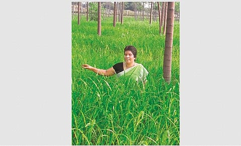 இயற்கை விவசாயத்தில் எல்லை தாண்டியும் வெற்றி பெறலாம்!