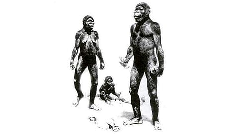 இன அரசியல்-12: திராவிடர்