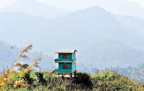 சுற்றுலாப் பயணிகள் வனத்தைக் காண, ஜீன் பூல் பூங்காவில் அமைக்கப்பட்டுள்ள அடுக்கு மாடி கோபுரம்.