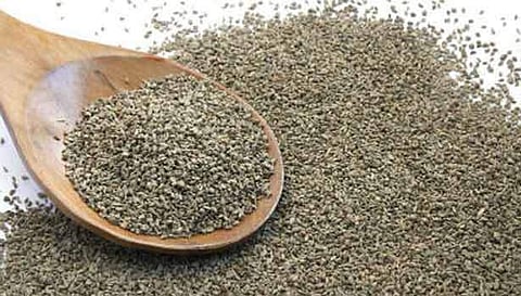 அஜீரணக் குறைபாட்டால் உண்டாகும் வயிற்று வலியைப் போக்க உதவும் கசாயம்