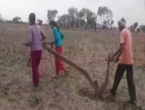 நிலத்தை உழுதால் இந்திரன் மழையைக் கொண்டு வருவானா? இந்த இளம்பெண்களின் நம்பிக்கை ஈடேறுமா?