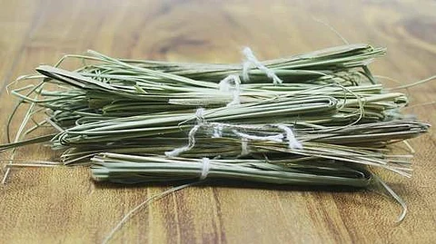 சந்திர கிரகணத்தின்போது உணவுப் பொருட்களில் தர்ப்பைப் புல் போடுகிறோம் எதற்காகத் தெரியுமா?
