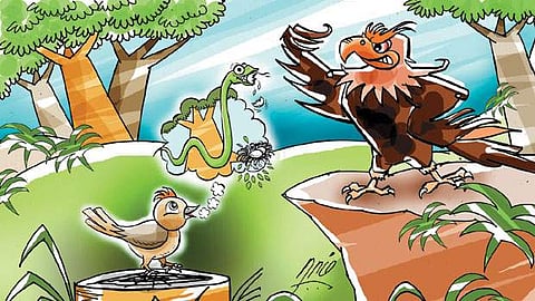 திபெத்திய நாடோடிக் கதை!: கழுகின் அலட்சியம்!