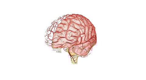ஆயுள் காக்கும் ஆயுர்வேதம்: ரத்தக் குழாய்கள் வலுவடைய...!