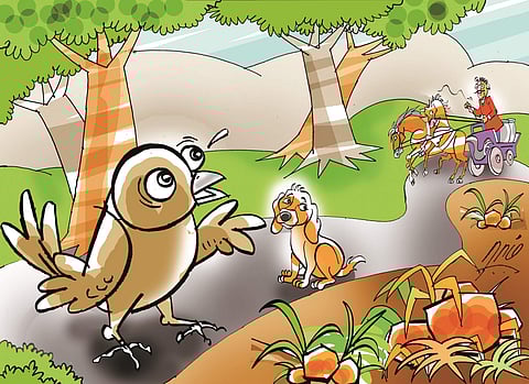 போலந்து நாடோடிக் கதை! சிட்டுக்குருவியின் நட்பு!