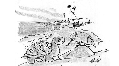 கதைப் பாடல்!: ஆமையின் அடக்கம்! 