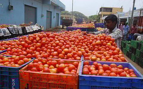 சென்னையில் ரூ. 100-ஐ தொட்டது தக்காளி விலை