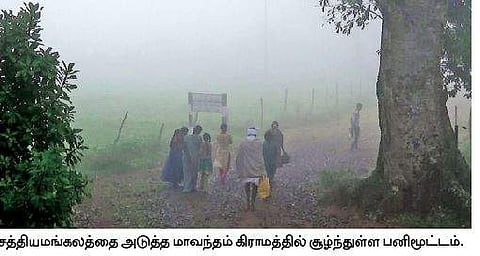 திம்பம் மலைப் பாதையில் கடும் பனிப்பொழிவு: பொதுமக்கள் அவதி