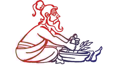 ஆயுள் காக்கும் ஆயுர்வேதம்: துத்தி எனும் ஒரு மூலவலி நிவாரணி!