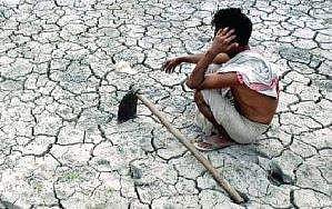 பயிர்க் காப்பீடு கணக்கெடுப்பில் குளறுபடி: விவசாயிகள் தவிப்பு