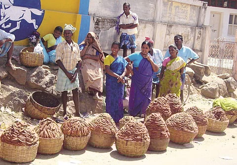 கொல்லிமலை புளி