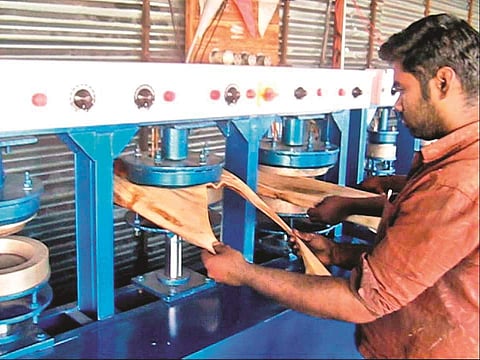 பாக்கு மட்டைத் தட்டுகள் தயாரிப்பில் லாபம் 