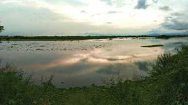 தருமபுரியில் உள்ள ராமக்காள் ஏரி.