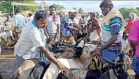 vk_19_aadu_santhai_1910chn_36_6