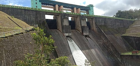 vp1dam_0110chn_204_3