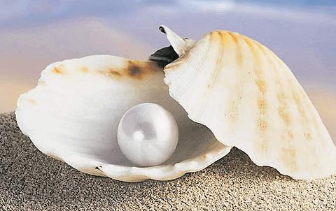 தக்காளி பிரச்னை! 