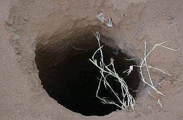 கோப்புப் படம்