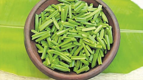 பிரண்டையின் பயன்கள்!