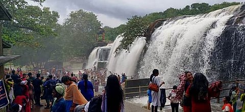 கேஎல்எம்8டுரிஸ்ட் பட விளக்கம்: திற்பரப்பு அருவியில் செவ்வாய்க்கிழமை குளித்து மகிழும் சுற்றுலாப் பயணிகள்.