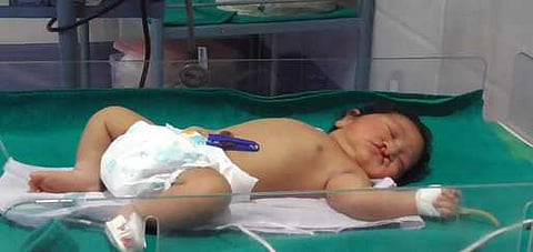 குடியாத்தம் அருகே முள்புதரில் மீட்கப்பட்ட பெண் சிசு.